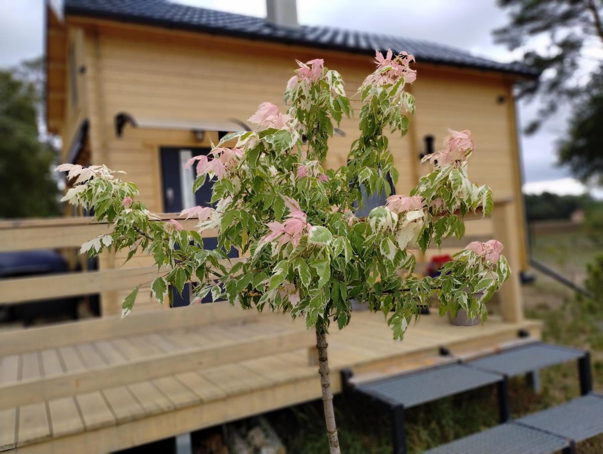 Holiday home Na Winklu *